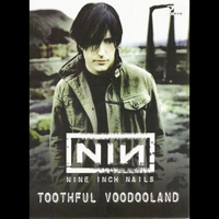 Nine Inch Nails - Toothful Voodooland (Live in USA 2005)