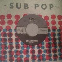 Shearwater - This Year (Single)