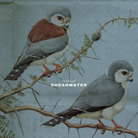 Shearwater - Thieves (EP)