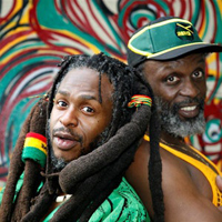 Steel Pulse - Collaborations