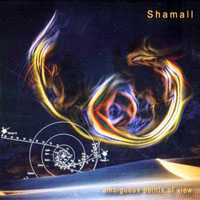 Shamall - Ambiguous Points of View (CD 1)