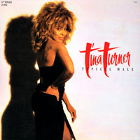 Tina Turner - Typical Male (US 12