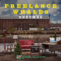 Freelance Whales - Enzymes (Single)