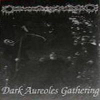 Darkwoods My Betrothed - Demo