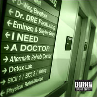 Dr. Dre - I Need a Doctor (feat. Eminem & Skylar Grey) (Single)