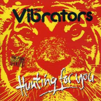 Vibrators - Hunting For You