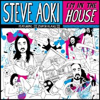 DJ Steve Aoki - I'm In The House