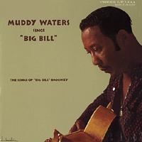Muddy Waters - Sings Big Bill Broonzy (Split)