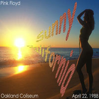 Pink Floyd - A Day In The Rain Or Sunny California (Oakland Coliseum, Oakland, USA, 04.22)  (CD 1)