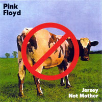 Pink Floyd - 1975.06.15 - Jersey Not Mother -  Roosevelt Stadium,  Jersey City, New Jersey, USA (CD 2)