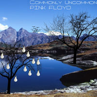 Pink Floyd - 1987.11.28 - Commonly Uncommon - The Sports Arena, Los Angeles, California, USA (CD 2)
