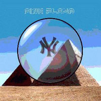 Pink Floyd - 1994.06.10 - Yankee Stadium, New York, New York, USA (CD 1)