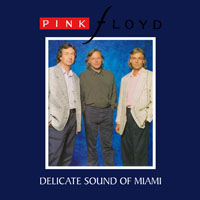 Pink Floyd - 1987.11.01 - Delicate Sound Of Miami - The Orange Bowl, Miami, Florida, USA (CD 2)