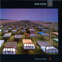 Pink Floyd - Box Set: Oh By The Way (CD 15: A Momentary Lapse Of Reason)