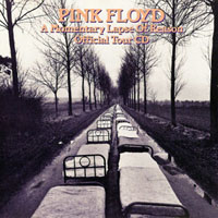 Pink Floyd - A Momentary Lapse Of Reason Official Tour CD (CDS Promo)