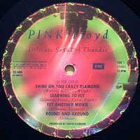 Pink Floyd - Delicate Sound of Thunder (LP 1)