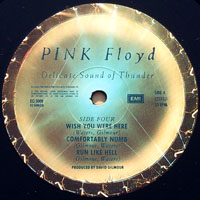 Pink Floyd - Delicate Sound of Thunder (LP 2)