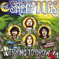 Sheepdogs - Trying To Grow