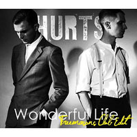 Hurts - Wonderful Life (Freemasons Mixes) [Single]