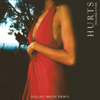 Hurts - Rolling Stone (Niklas Ibach Remix)