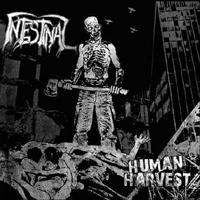 Intestinal - Human Harvest