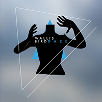 Wallis Bird - Daze (Single)