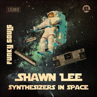 Shawn Lee - Synthesizers In Space