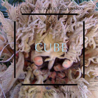 Alio Die - Cube 7 - Sospensione D'estate (Split)