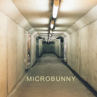 Microbunny - Microbunny