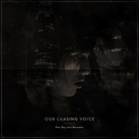 Our Ceasing Voice - That Day Last November