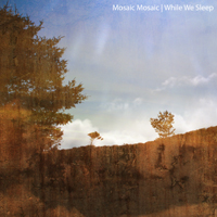 Mosaic Mosaic - While We Sleep