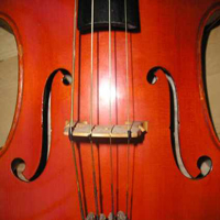 The String Quartet - The Best of the String Quartet
