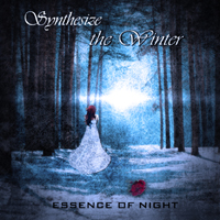 Essence Of Night - Synthesize The Winter