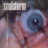 Soulstorm - From Euphoria To Paranoia