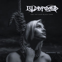 Illdisposed - Grey Sky Over Black Town (Deluxe Digipak Edition)