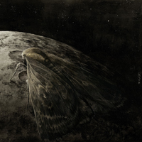 Augrimmer - Moth And The Moon