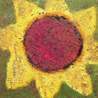 NeverShoutNever - Sunflower