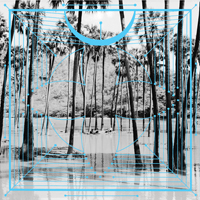 Four Tet - Jupiters / Lion (Remixes - Single)