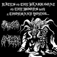 Gnashing Of Teeth - Rites Ov The Blakk Goat Ov The Woods With A Thousand Young (Split)
