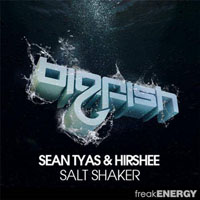 Sean Tyas - Sean Tyas & Hirshee - Salt shaker  (Single)