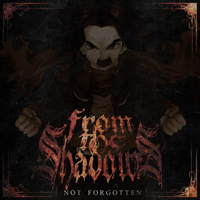 From The Shadows - Not Forgotten