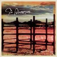 Gin Blossoms - Outside Looking In: The Best Of Gin Blossoms