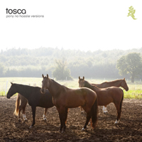 Tosca - Pony - No Hassle Versions