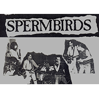 Spermbirds - 1987.07.05 - Live in Aalst