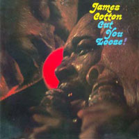 James Cotton - Cut You Loose!