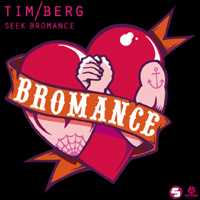 Tim Bergling - Seek Bromance (Remix EP)