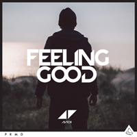 Tim Bergling - Feeling Good (Single)