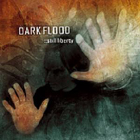 Dark Flood - Still Liberty