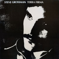 Steve Grossman - Terra Firma