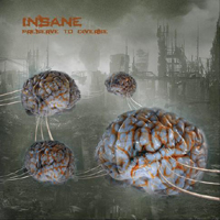 Insane (CZE) - Preserve To Diverse